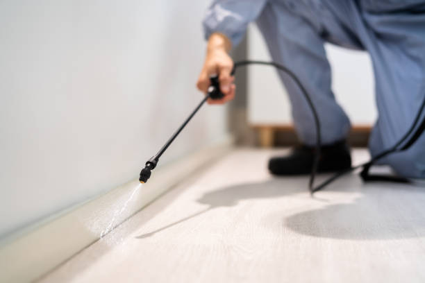 Licensed Pest Control service in Rolling Fork, MS - Show Me Pest Control