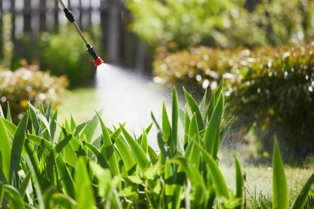 Tamper-Resistant Bait Stations for Rodents in Rolling Fork