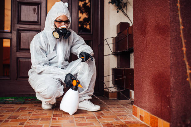 Attic and Crawl Space Rodent Treatment in Rolling Fork