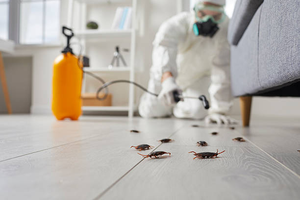 Commercial Rodent Management in Rolling Fork